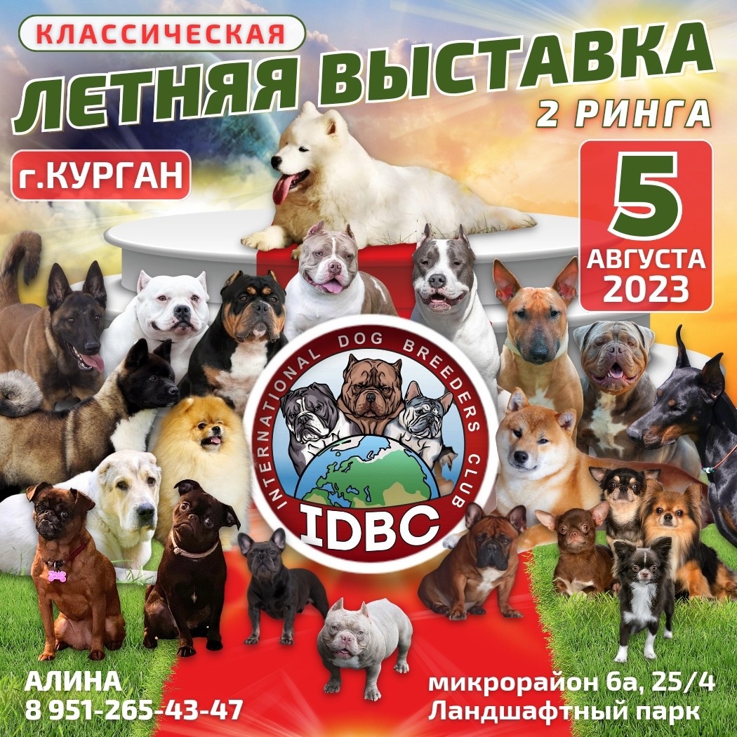 Летнее Двойное Шоу 5.08.2023 Курган - IDBC